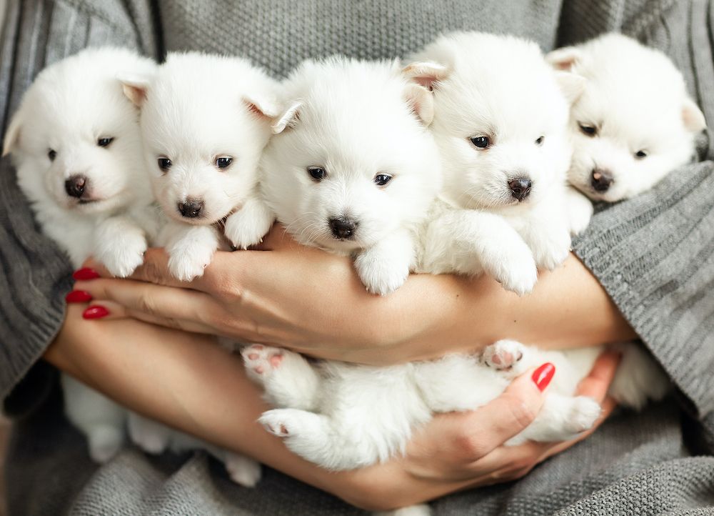 Question of the Week